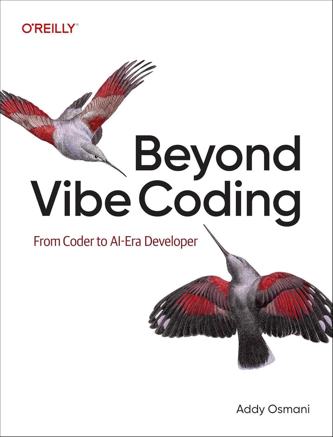 Beyond Vibe Coding eBook